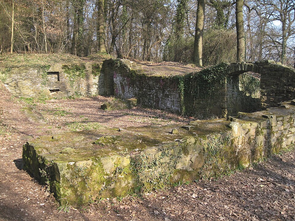 Burgruine Rodenberg