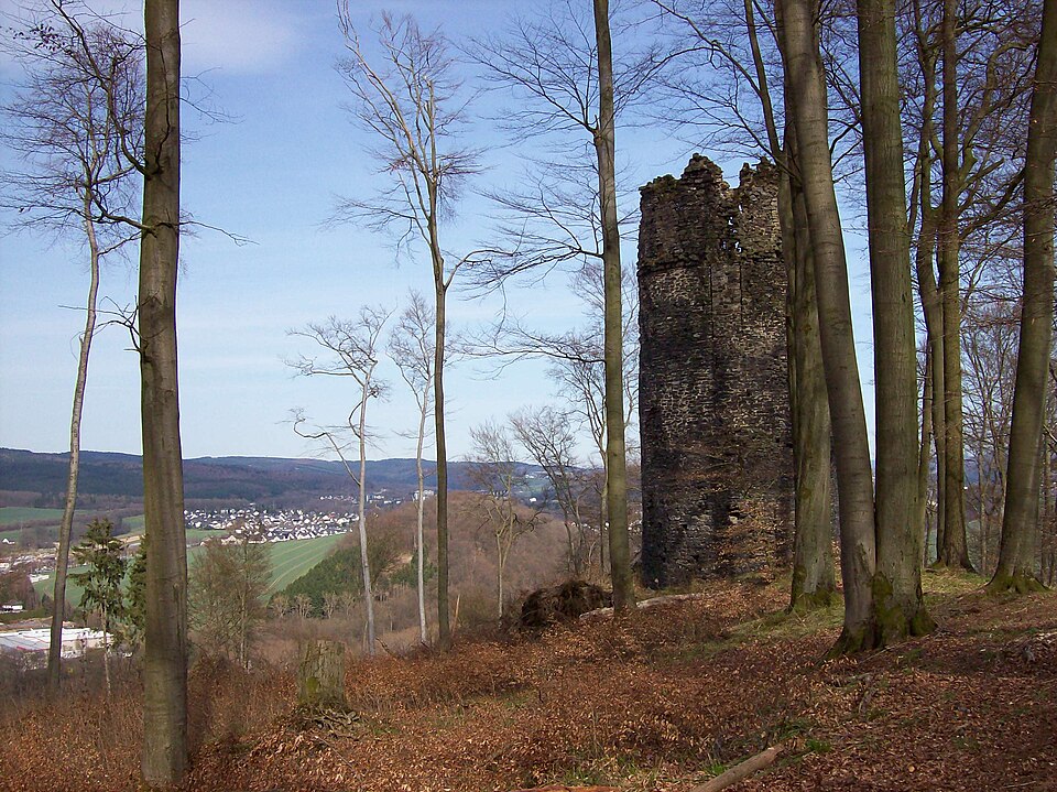 Burg Laer