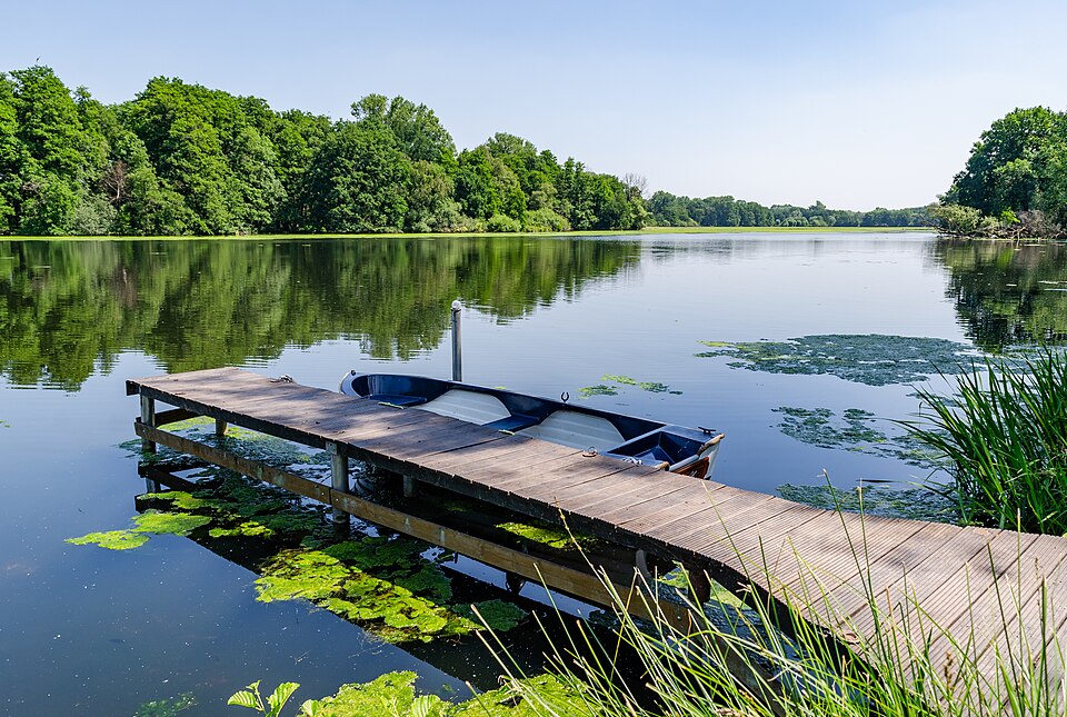 De Wittsee