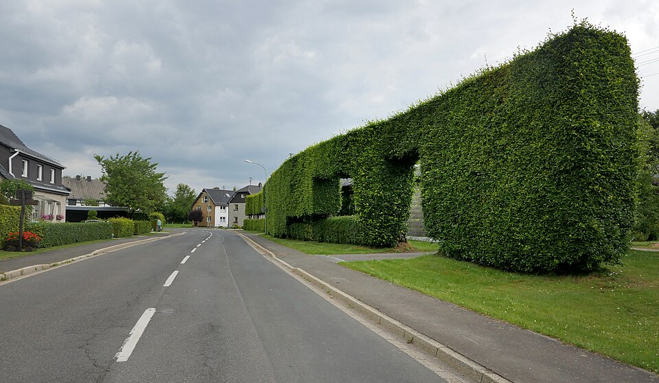 Wunderschöne Hecke am Ortseingang