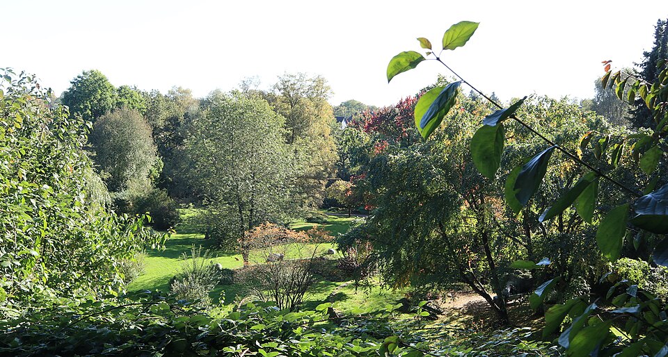 Gustav-Coppel-Park