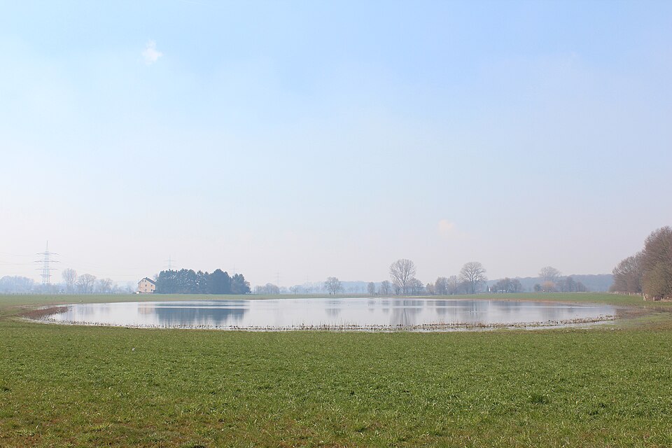 Pleckenbrinksee