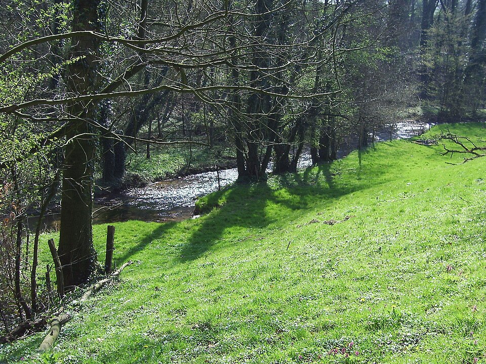 Angermündung