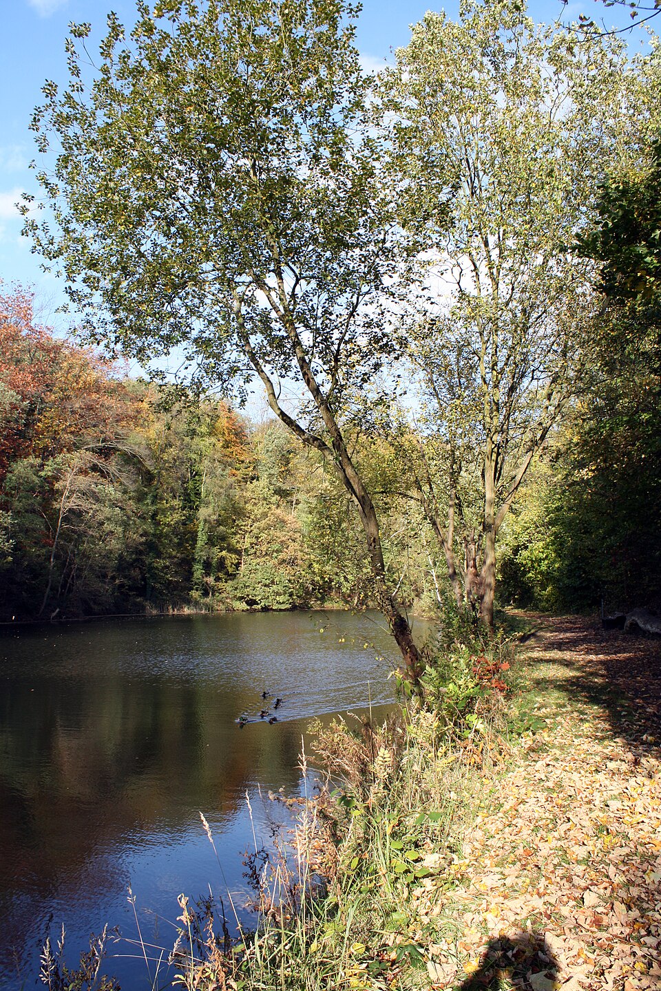 Naherholungsgebiet Hürtherberg