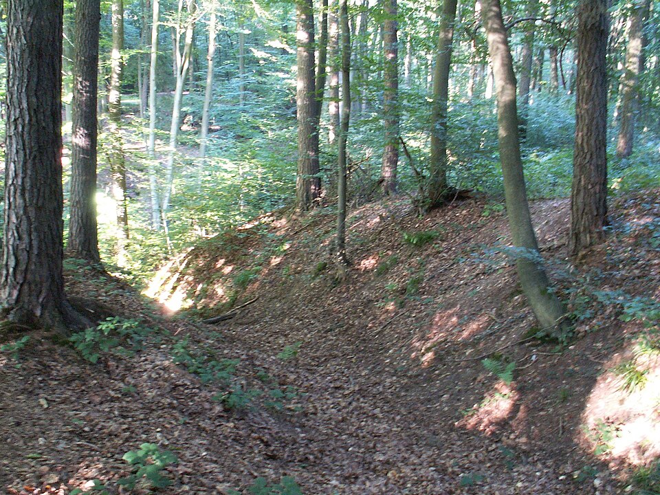 Venner Ringwall