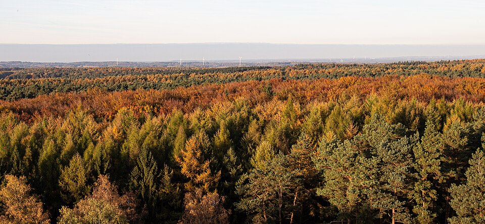 Feuerwachturm Galgenberg