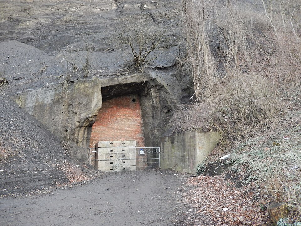 U-Verlagerung Dachs 1