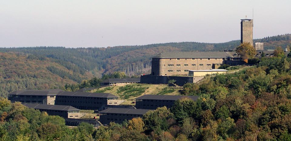 Vogelsang IP